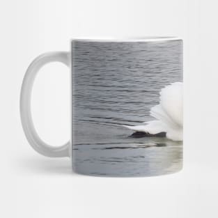 Mute Swan Swimming In The Water Mug